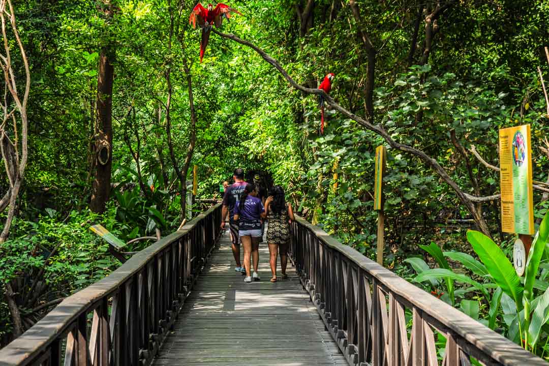 Hotel del Parque Naturaleza