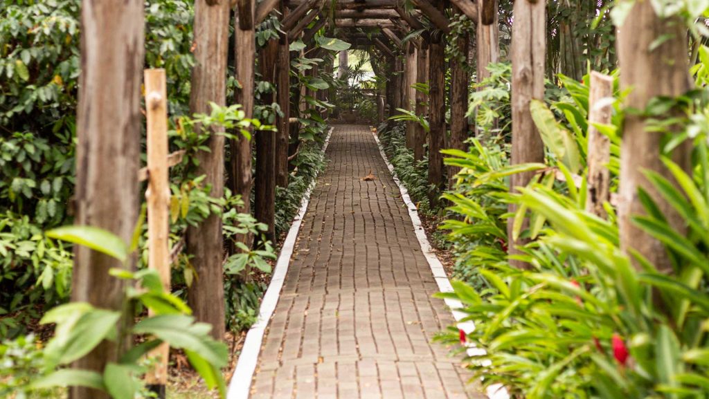 A Taste of Luxury Stitched into Nature: Guayaquil’s Secret Garden